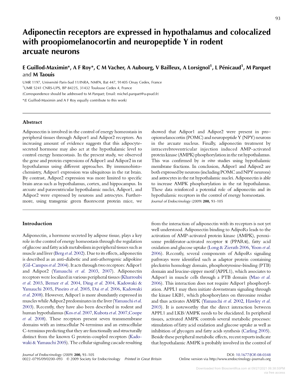 Adiponectin Receptors Are Expressed in Hypothalamus and Colocalized with Proopiomelanocortin and Neuropeptide Y in Rodent Arcuate Neurons