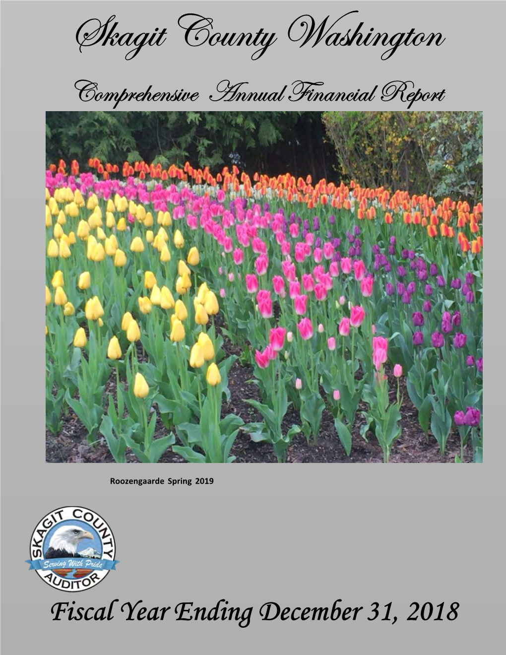 Comprehensive Annual Financial Report Fiscal Year