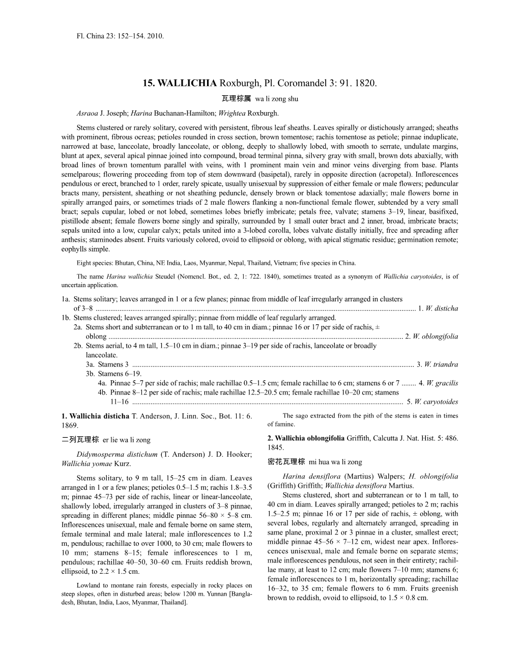 Wallichia (PDF)