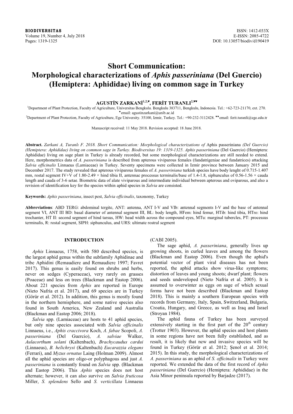 Morphological Characterizations of Aphis Passeriniana (Del Guercio) (Hemiptera: Aphididae) Living on Common Sage in Turkey