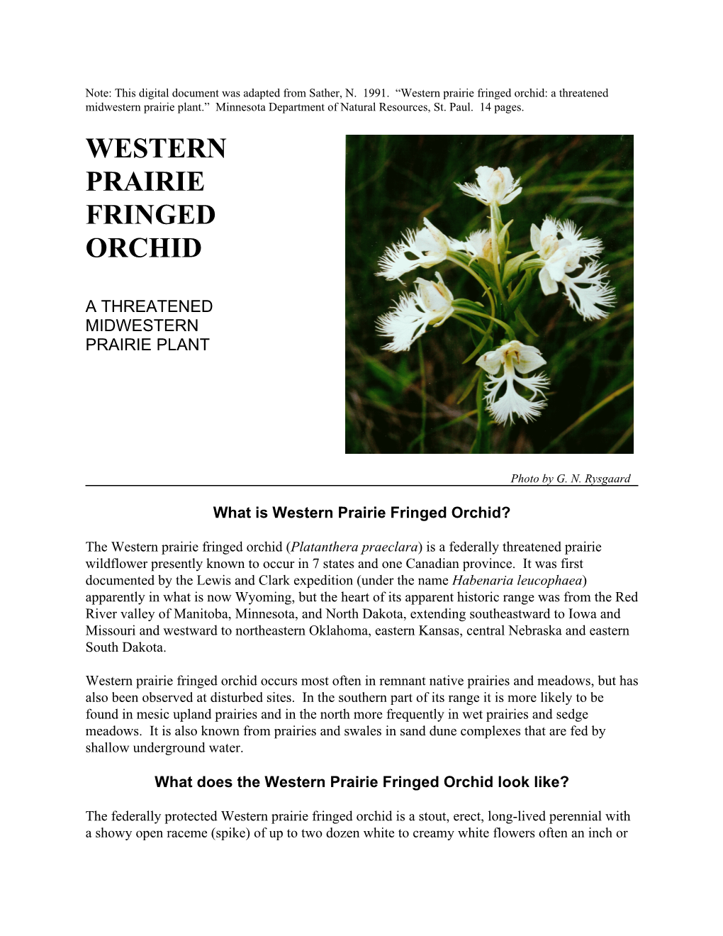 Western Prairie Fringed Orchid: a Threatened Midwestern Prairie Plant.” Minnesota Department of Natural Resources, St