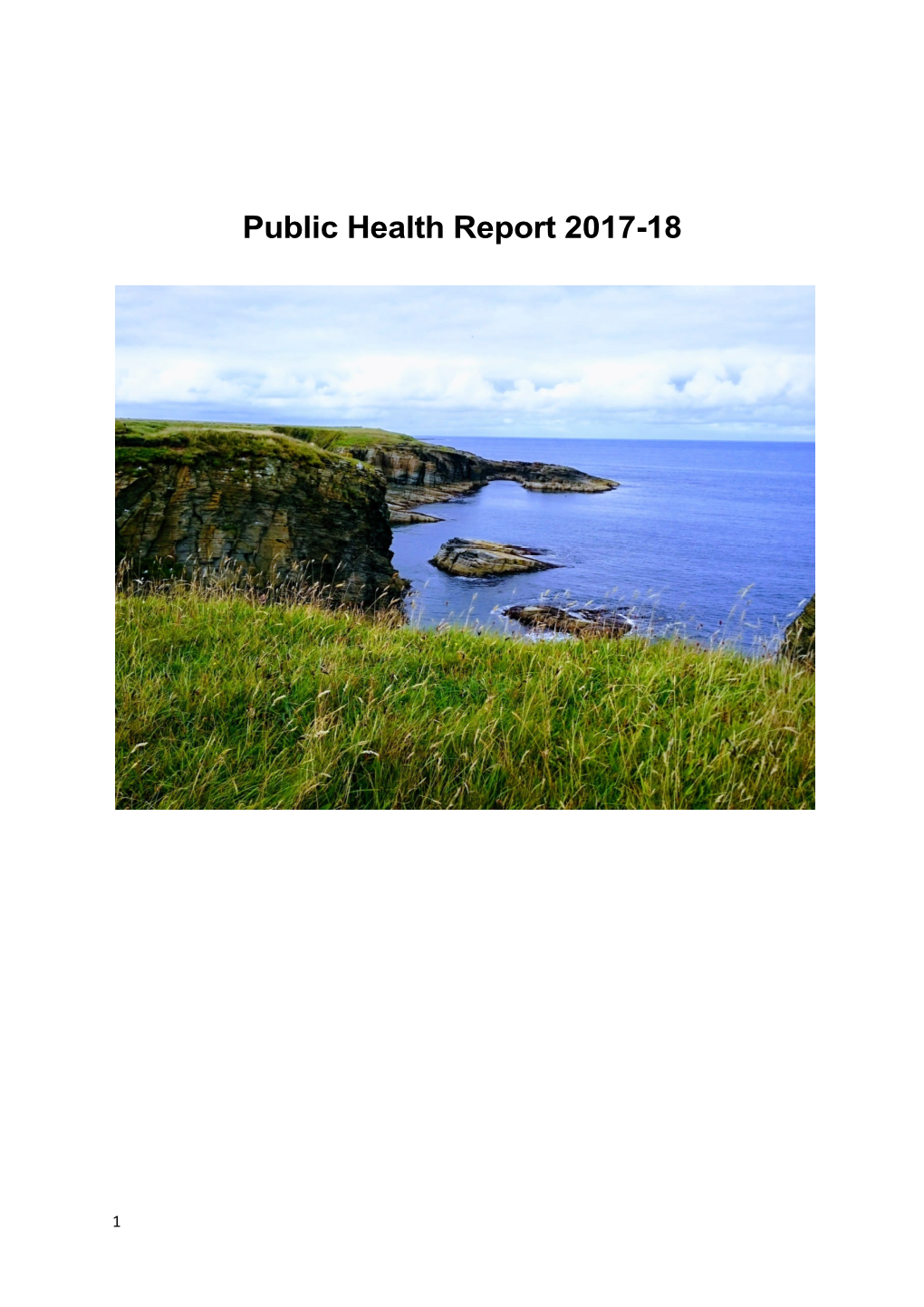 Public Health Report 2017-18