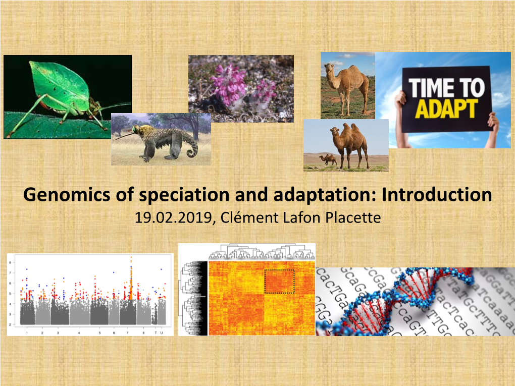 Genomics of Speciation and Adaptation: Introduction 19.02.2019, Clément Lafon Placette Speciation: a Question As Old As Human Kind