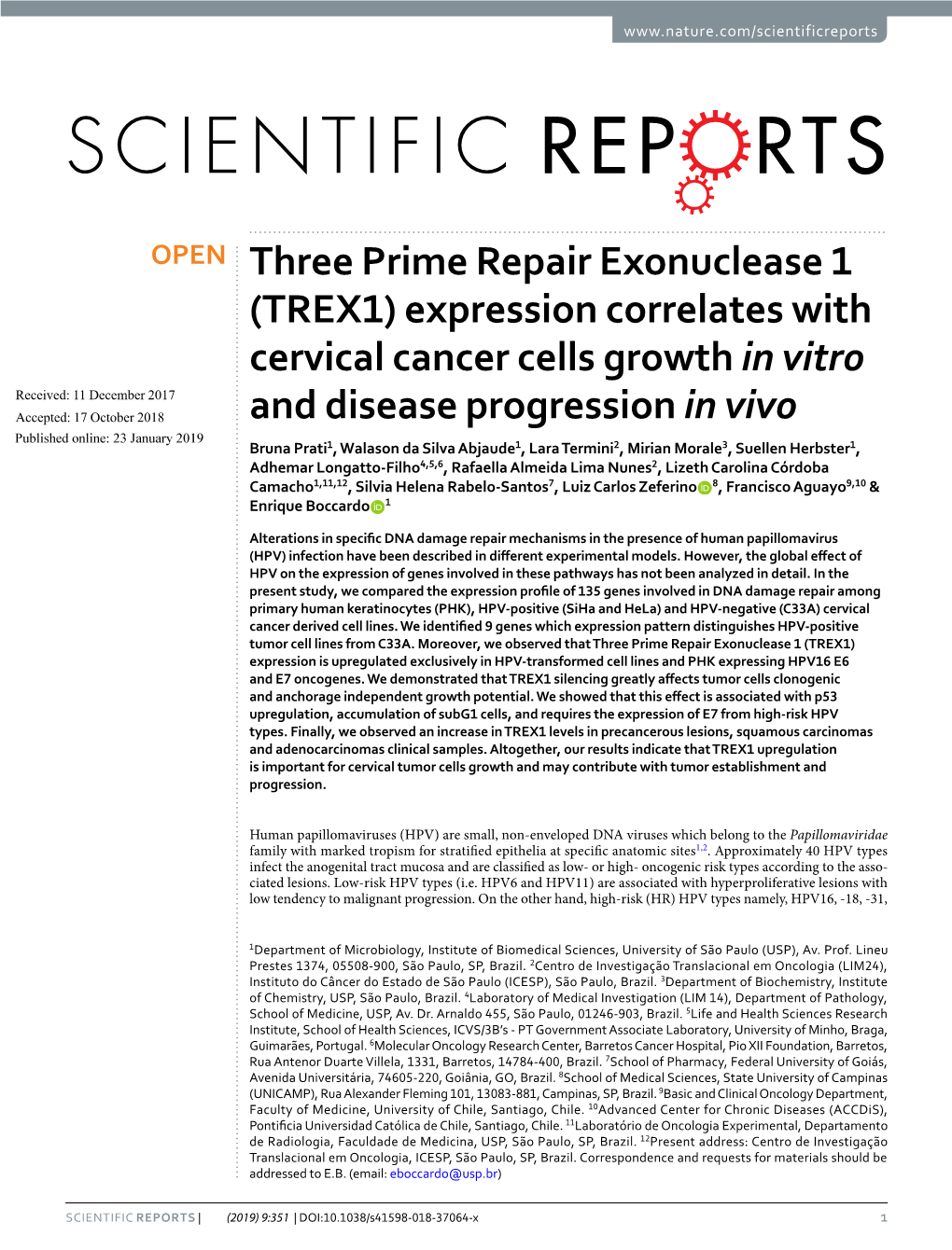 Three Prime Repair Exonuclease 1 (TREX1) Expression Correlates with Cervical Cancer Cells Growth in Vitro and Disease Progressio