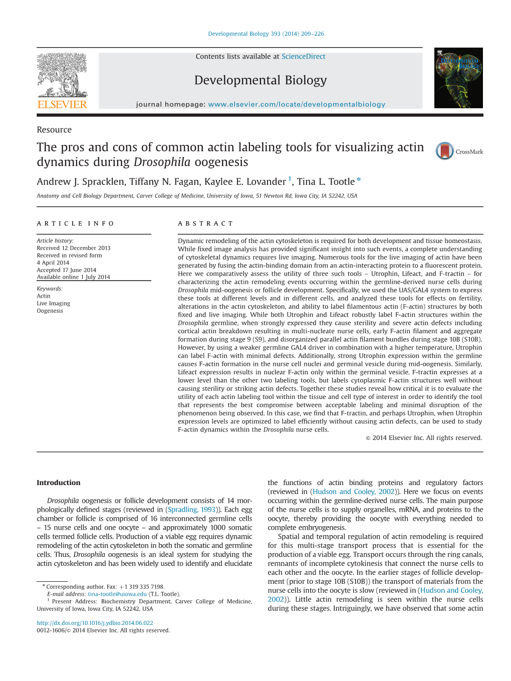 The Pros and Cons of Common Actin Labeling Tools for Visualizing Actin Dynamics During Drosophila Oogenesis