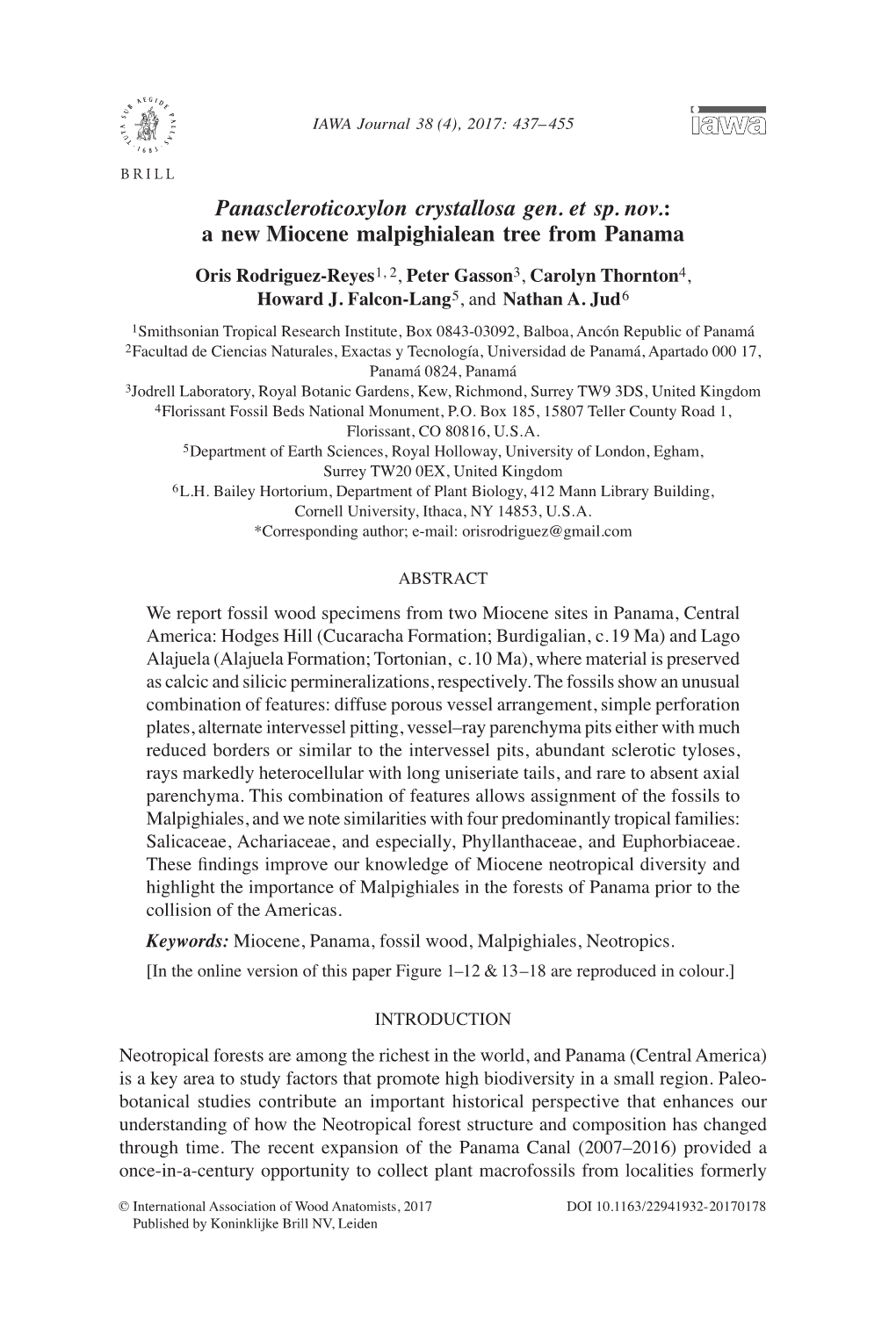 A New Miocene Malpighialean Tree from Panama