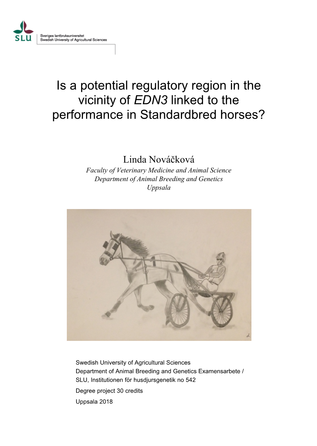 Is a Potential Regulatory Region in the Vicinity of EDN3 Linked to the Performance in Standardbred Horses?