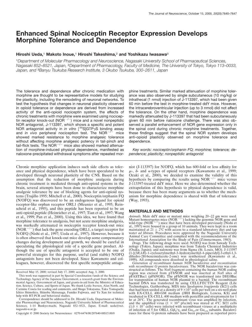 Enhanced Spinal Nociceptin Receptor Expression Develops Morphine Tolerance and Dependence