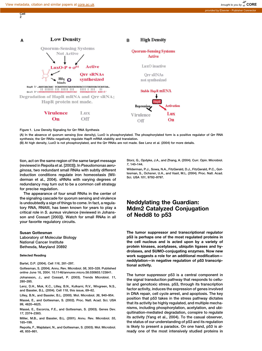 Mdm2 Catalyzed Conjugation of Nedd8 To