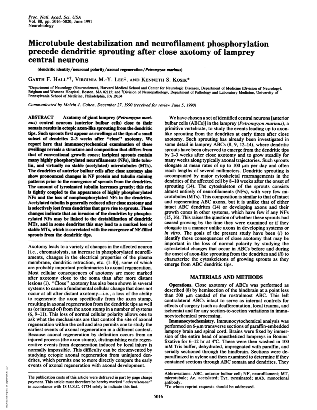 Microtubule Destabilization and Neurofilament Phosphorylation