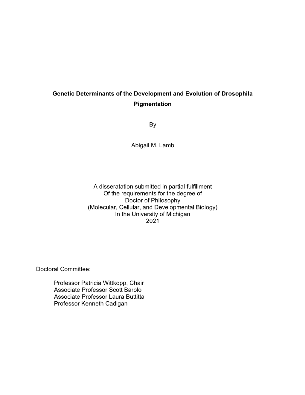 Genetic Determinants of the Development and Evolution of Drosophila Pigmentation