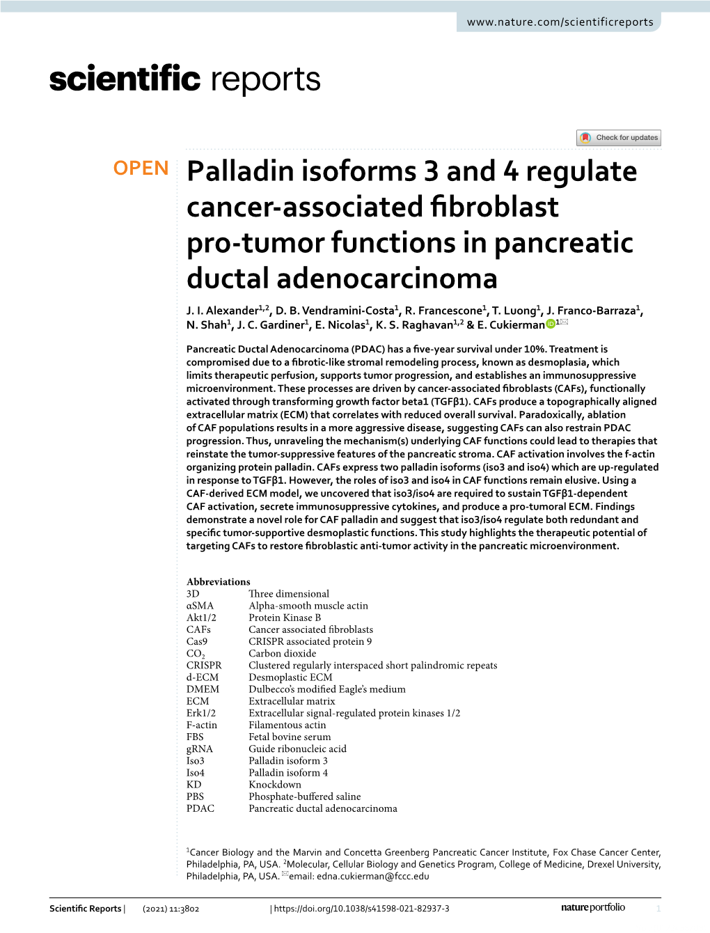 Palladin Isoforms 3 and 4 Regulate Cancer-Associated Fibroblast Pro