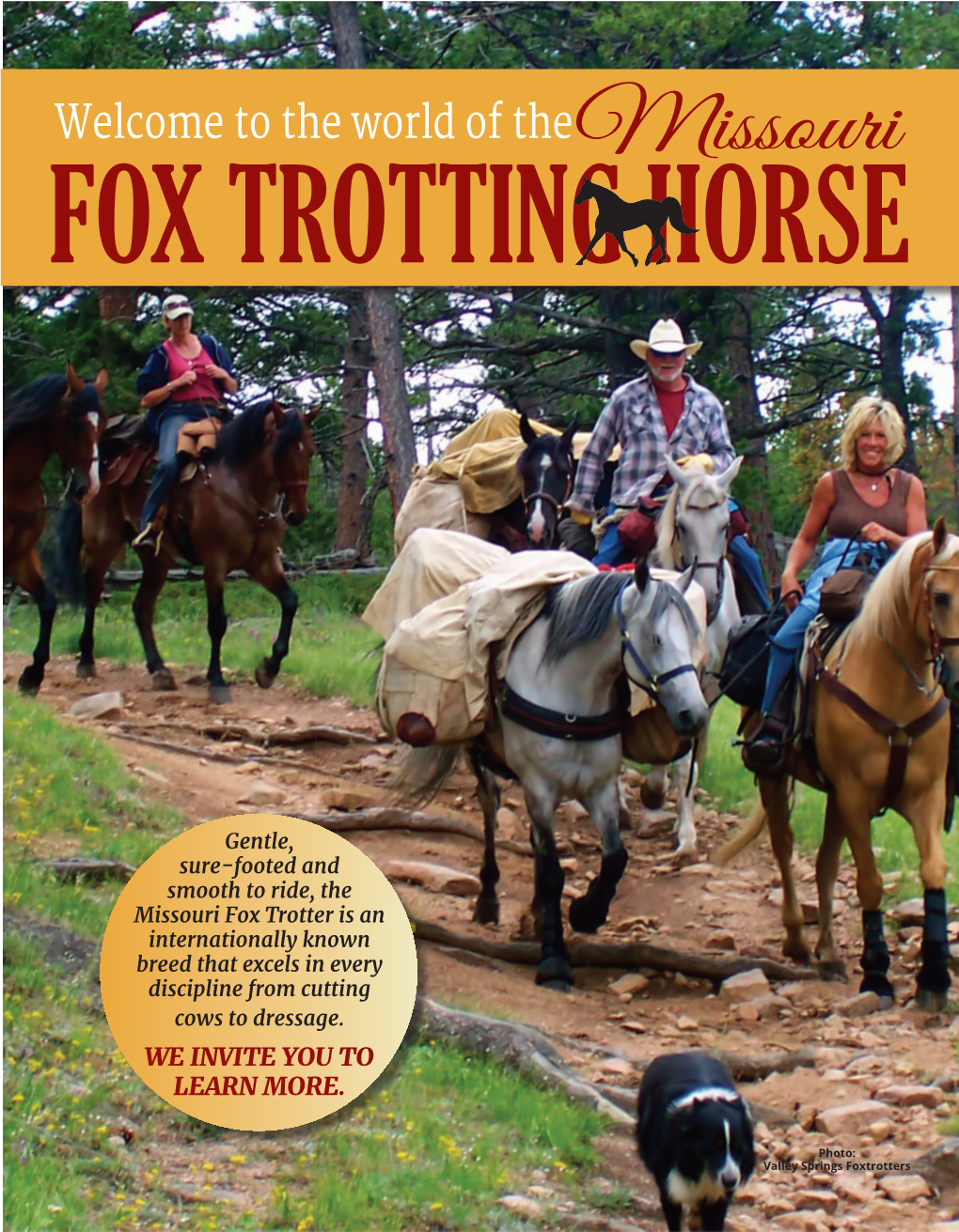 Missouri Fox Trotting Horse