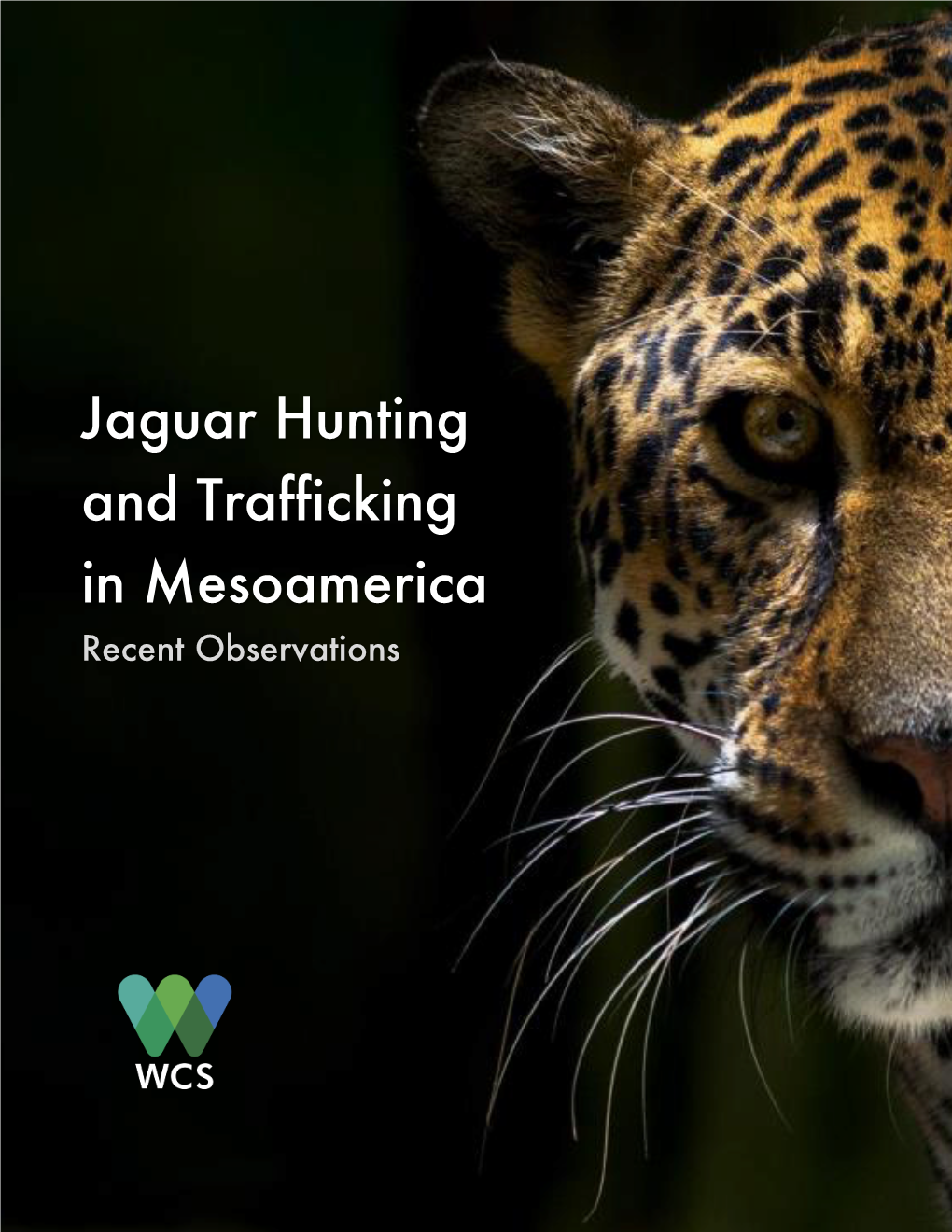 WCS Report Jaguar Trafficking Mesoamerica ENG Final Layout LM