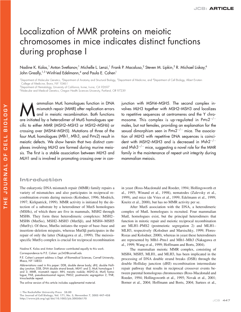 Localization of MMR Proteins on Meiotic Chromosomes in Mice