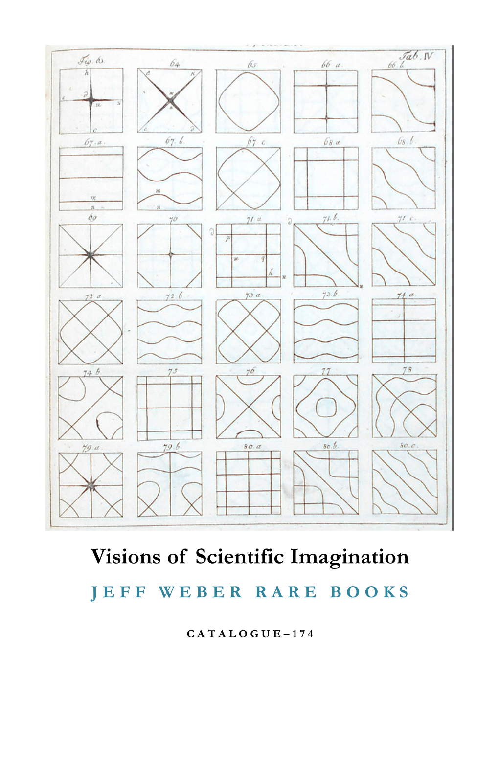 Visions of Scientific Imagination