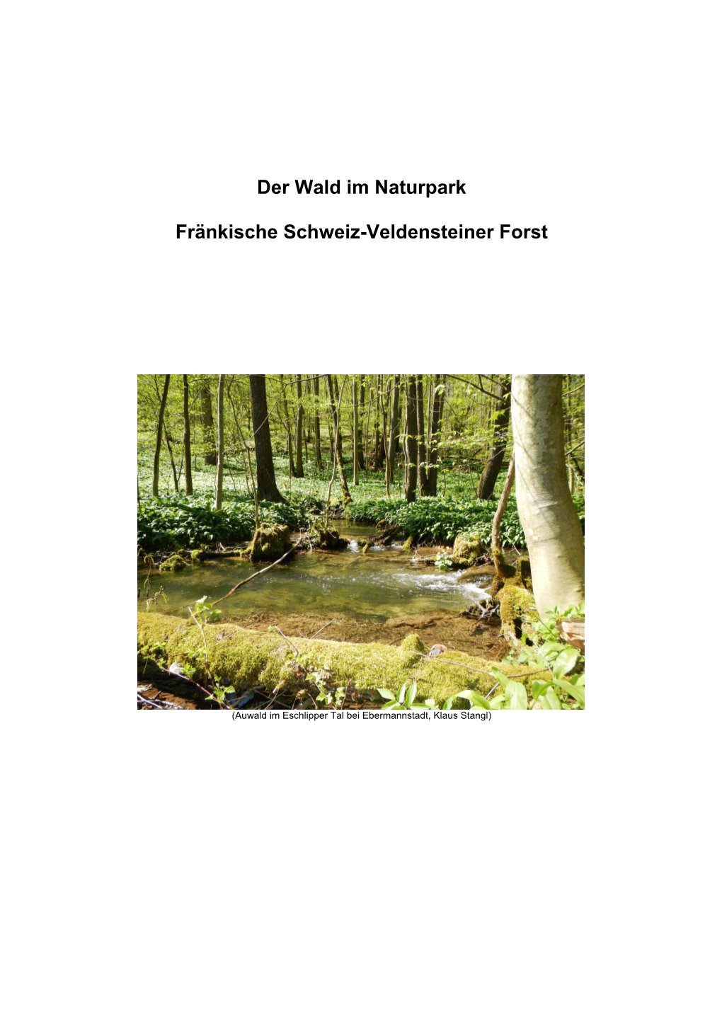 Der Wald Im Naturpark Fränkische Schweiz-Veldensteiner Forst
