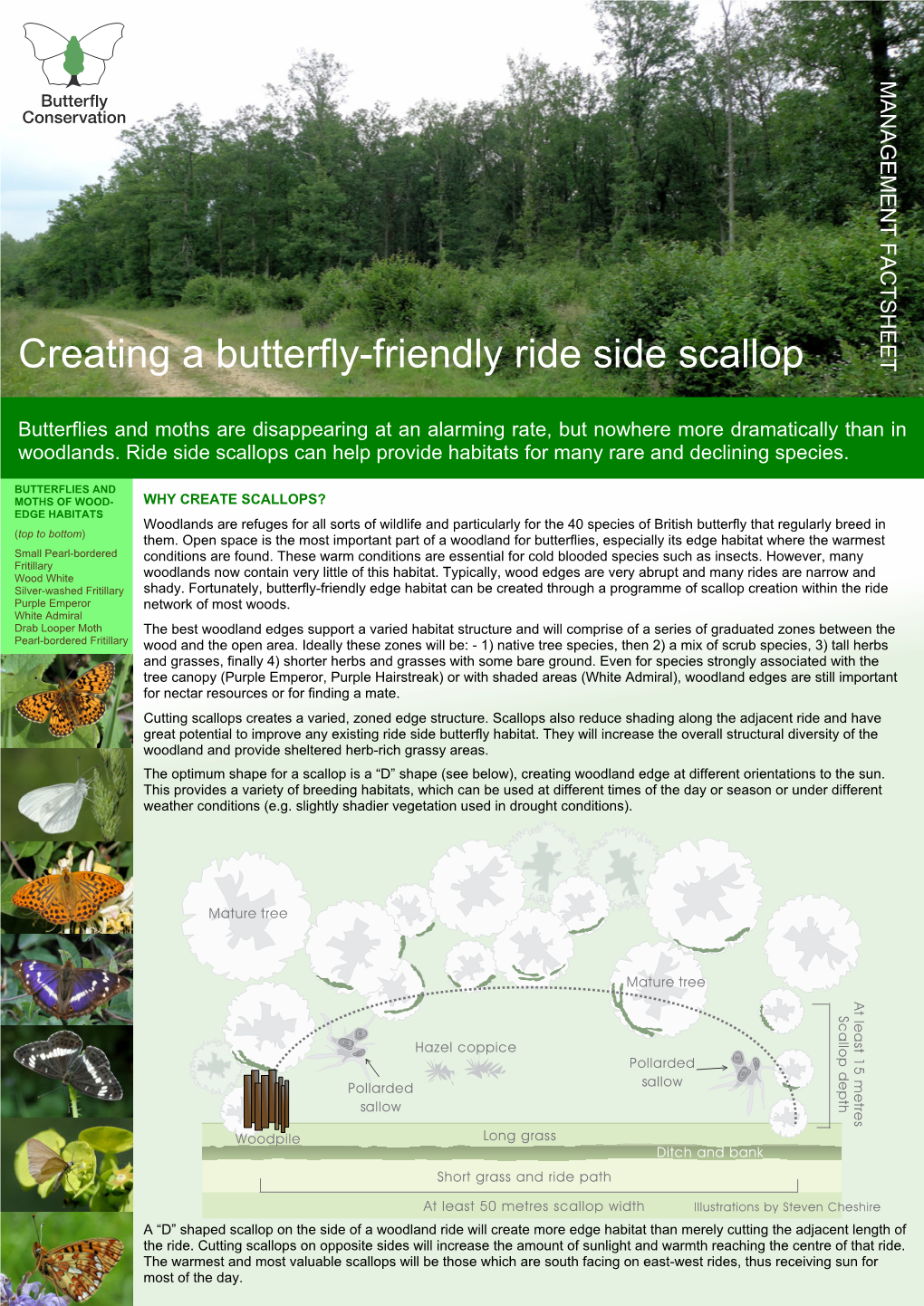 Woodland Scallop Factsheet