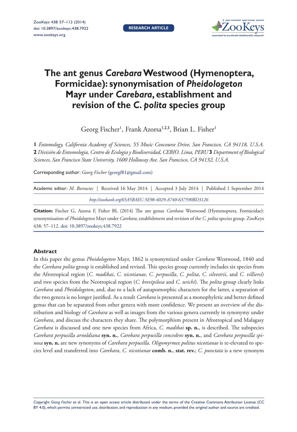 The Ant Genus Carebara Westwood (Hymenoptera, Formicidae): Synonymisation of Pheidologeton Mayr Under Carebara, Establishment and Revision of the C