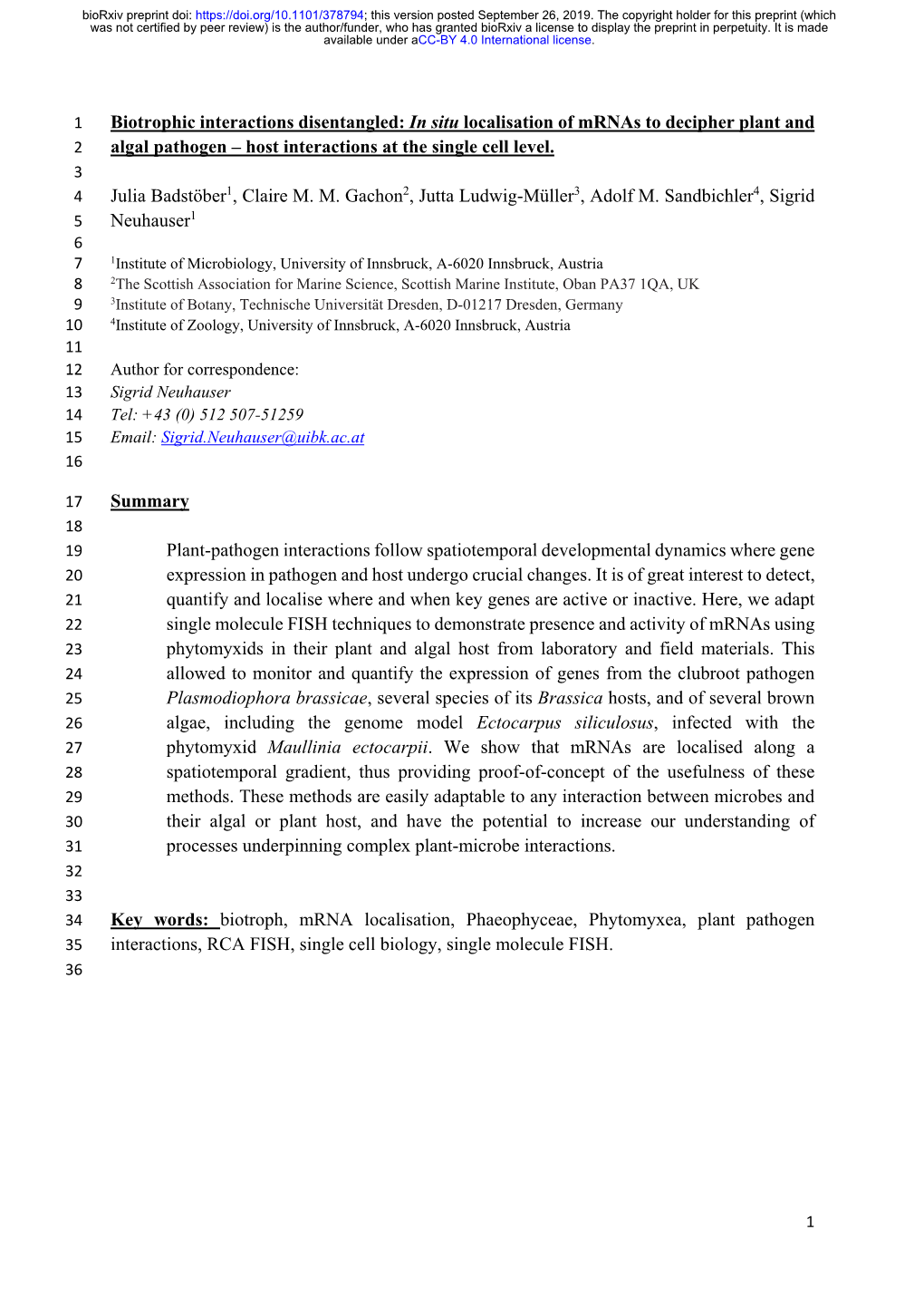 In Situ Localisation of Mrnas to Decipher Plant and Algal