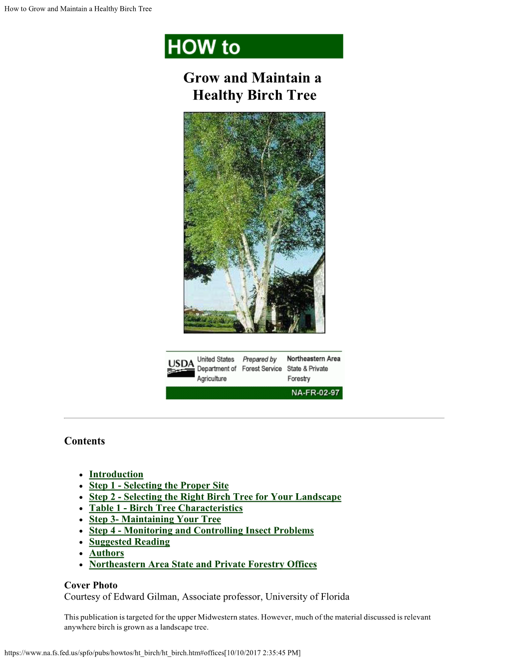 How to Grow and Maintain a Healthy Birch Tree