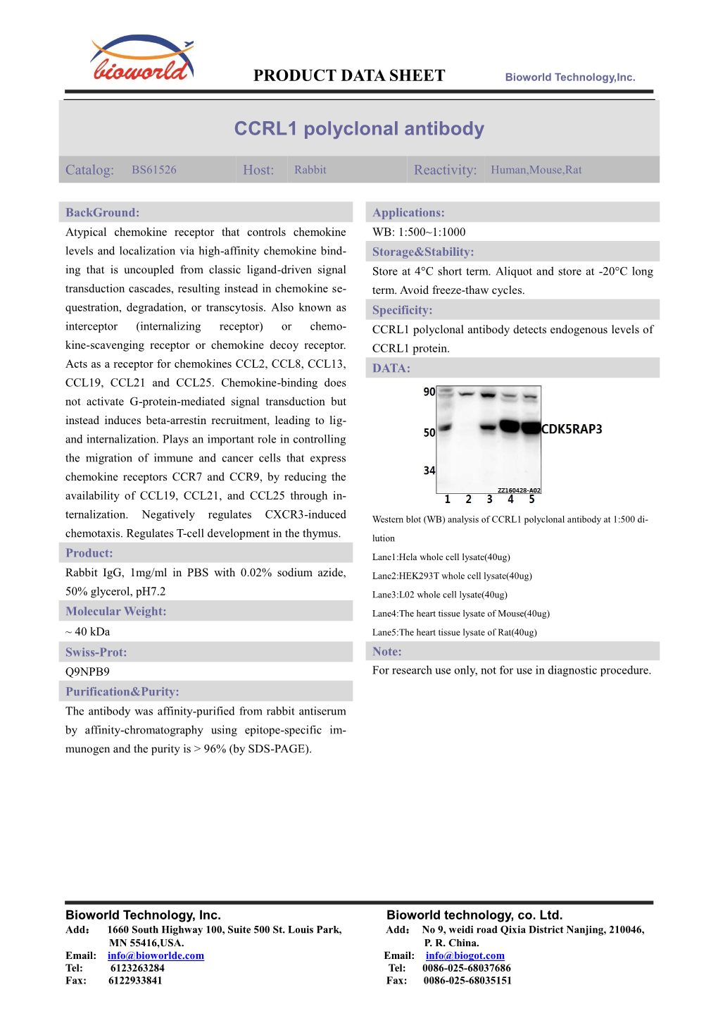 CCRL1 Polyclonal Antibody