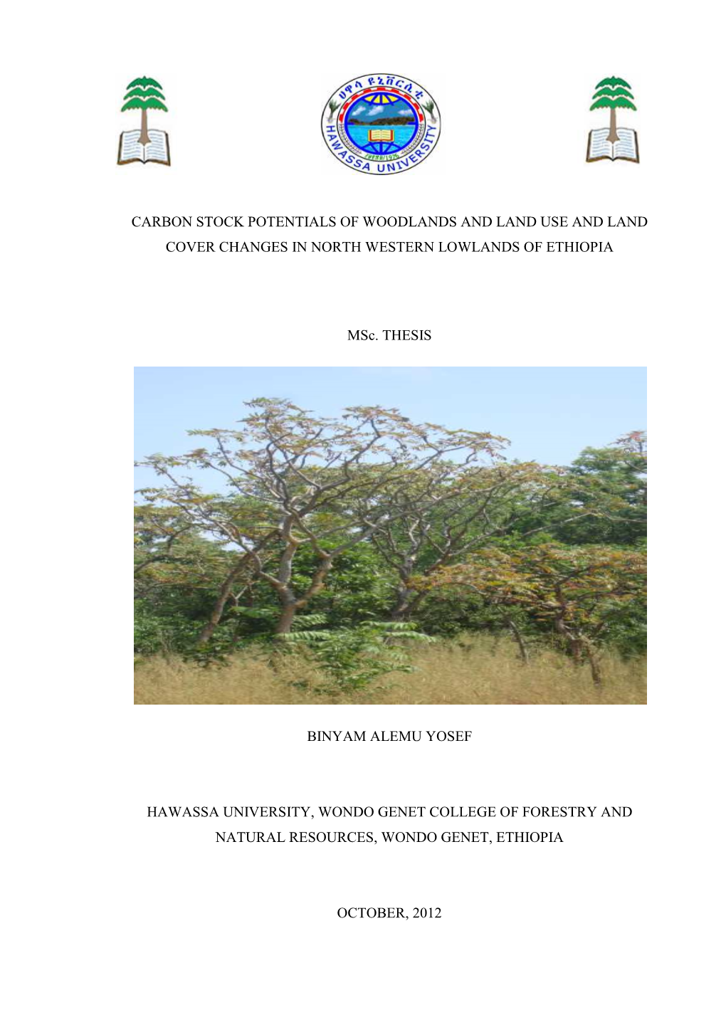 Final Corrected Binyam Msc Thesis