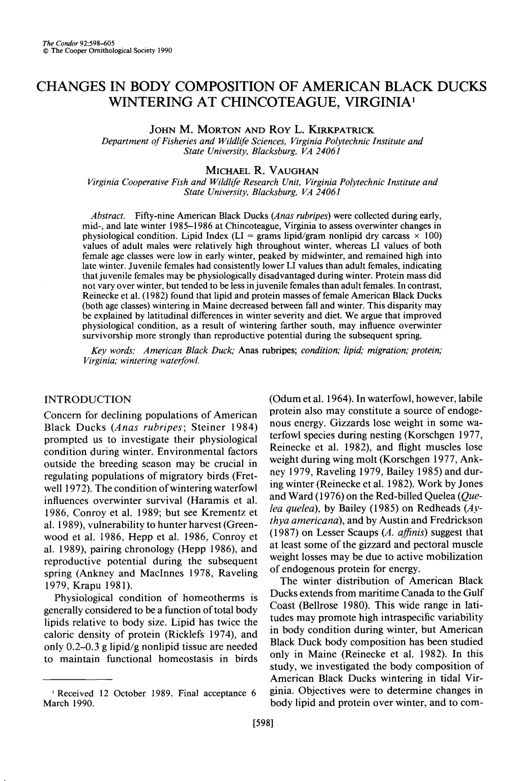 Changes in Body Composition of American Black Ducks Wintering at Chincoteague, Virginia ’