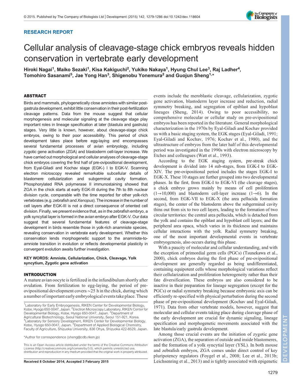 Cellular Analysis of Cleavage-Stage Chick Embryos Reveals Hidden Conservation in Vertebrate Early Development