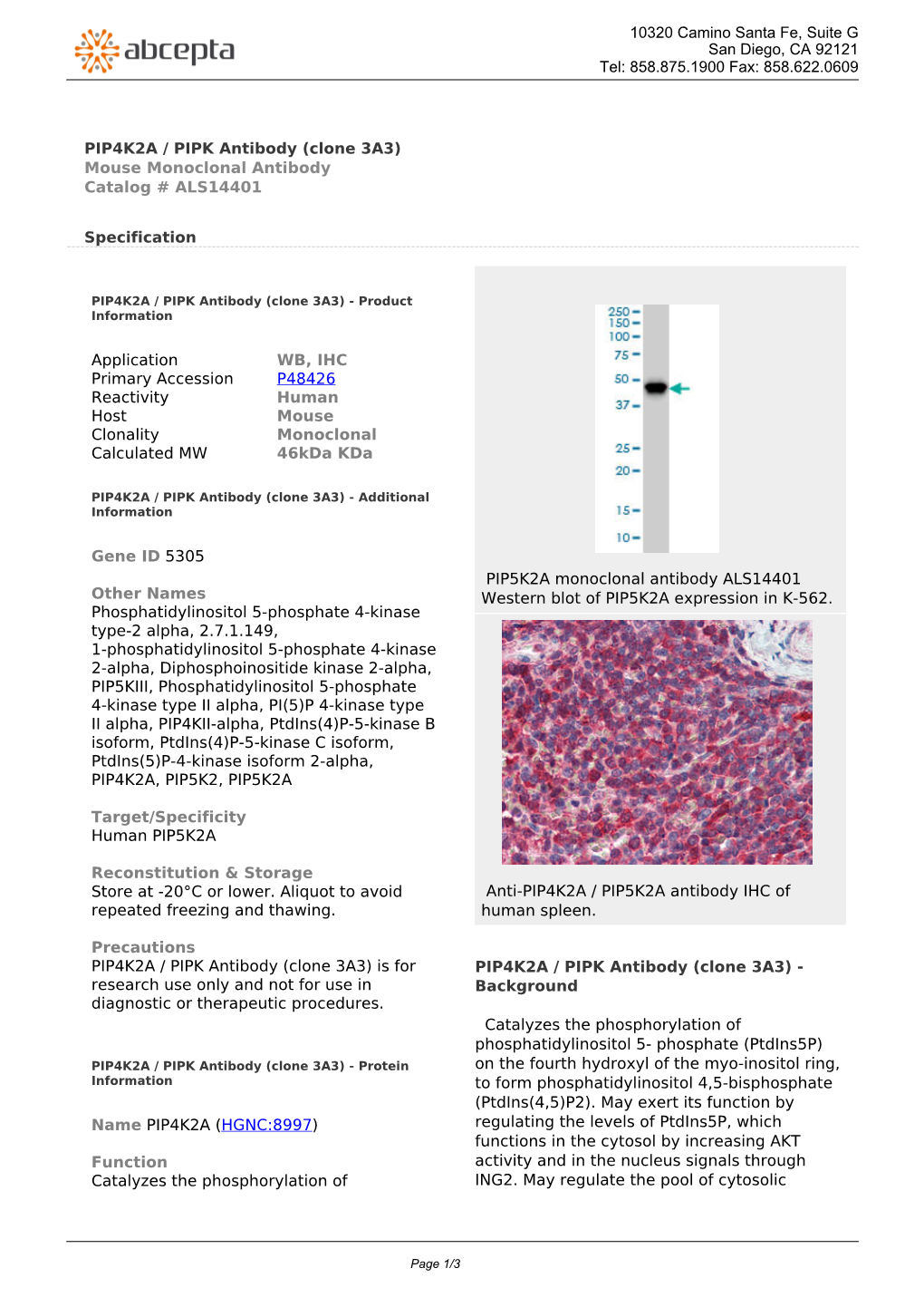 PIP4K2A / PIPK Antibody (Clone 3A3) Mouse Monoclonal Antibody Catalog # ALS14401
