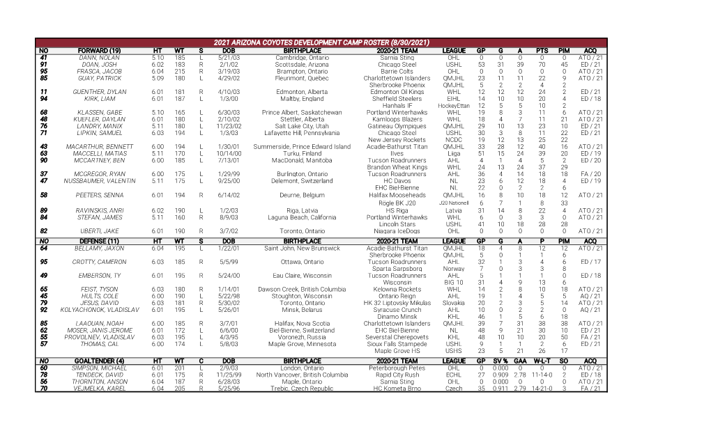 2021 Arizona Coyotes Development Camp Roster