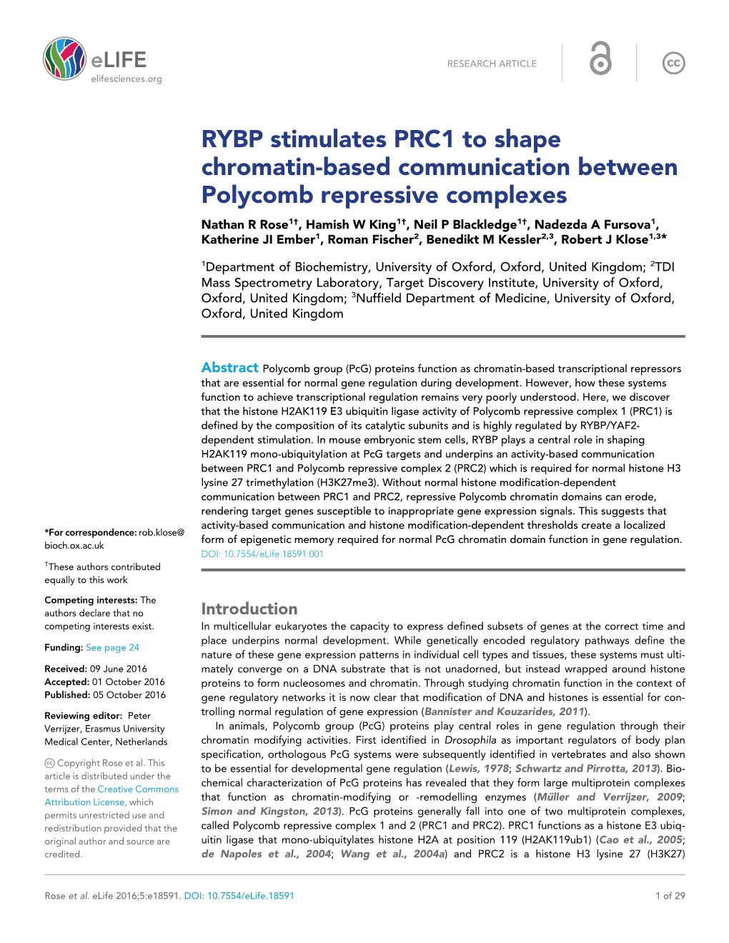 RYBP Stimulates PRC1 to Shape Chromatin-Based