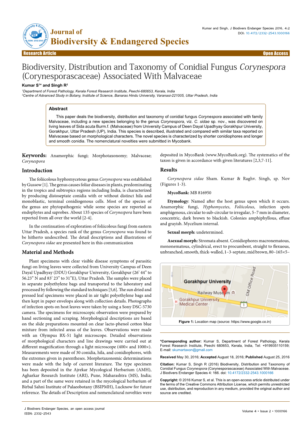 Biodiversity, Distribution and Taxonomy of Conidial Fungus Corynespora (Corynesporascaceae) Associated with Malvaceae