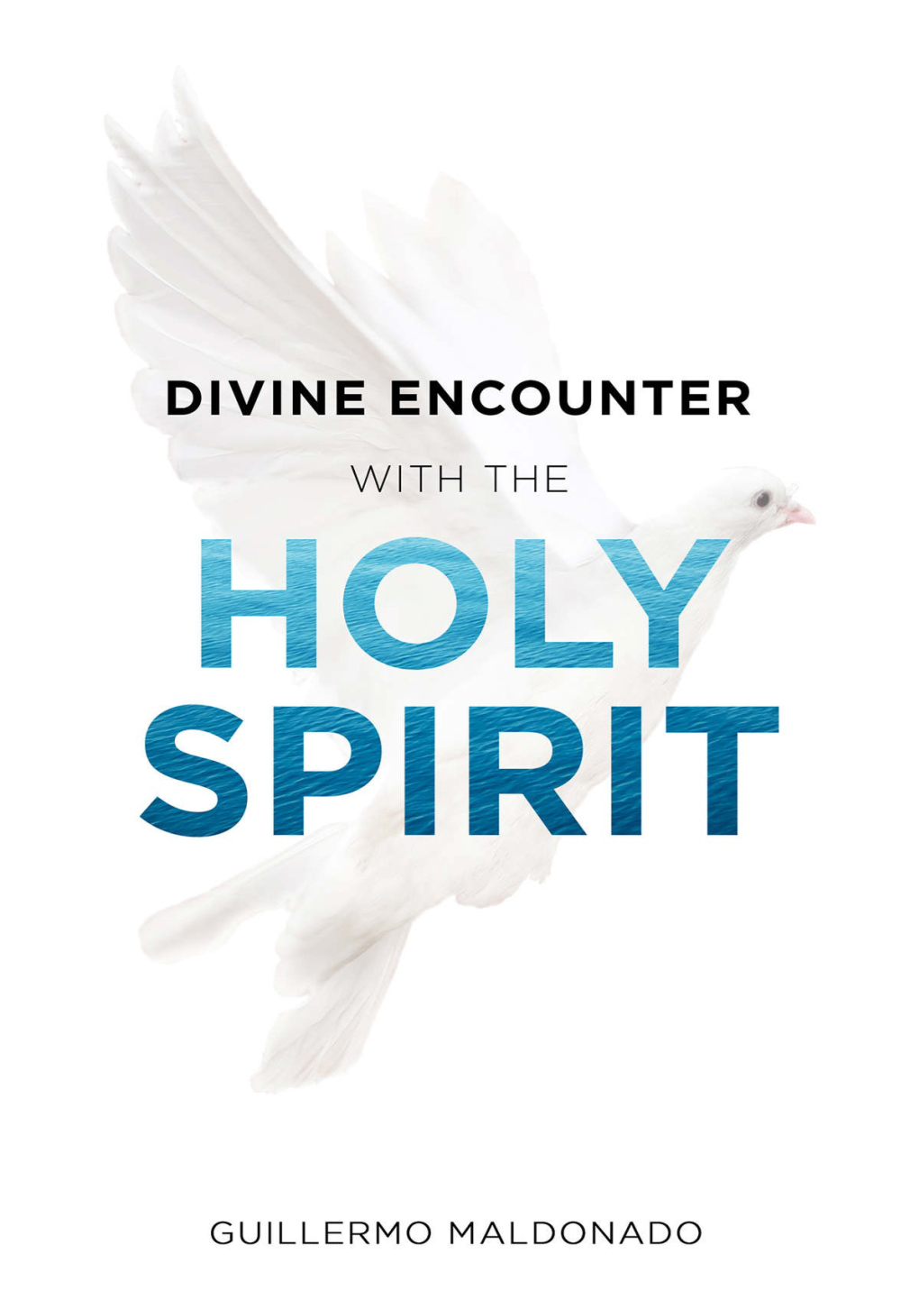 Divine Encounter with the Holy Spirit…