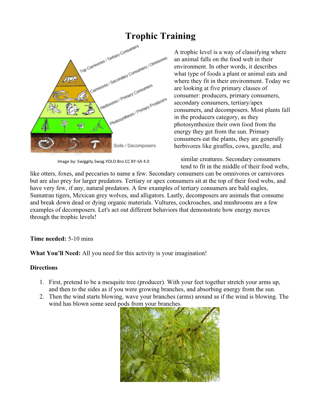 Trophic Training