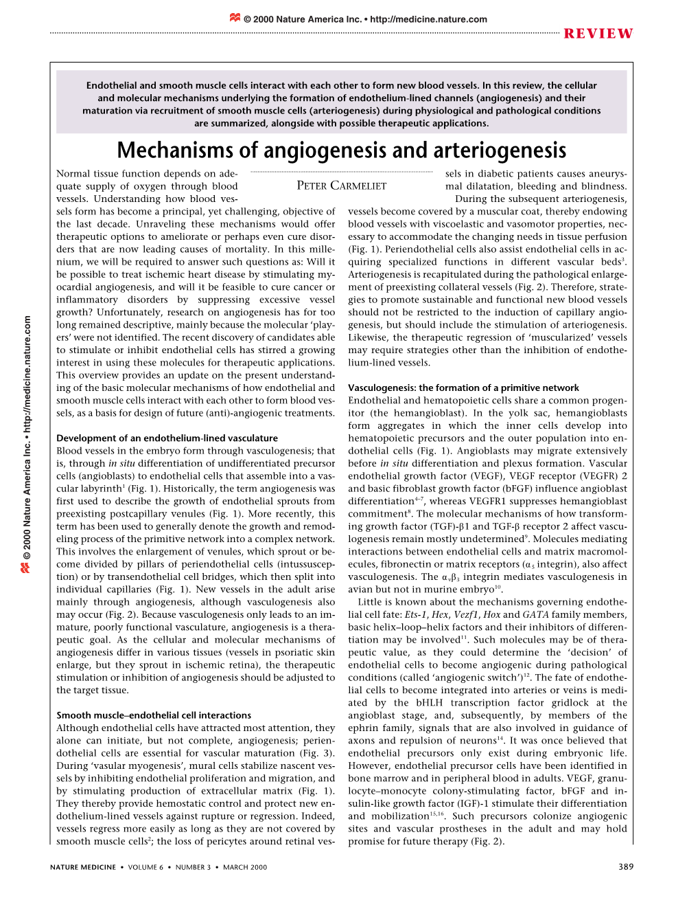 Mechanisms of Angiogenesis and Arteriogenesis