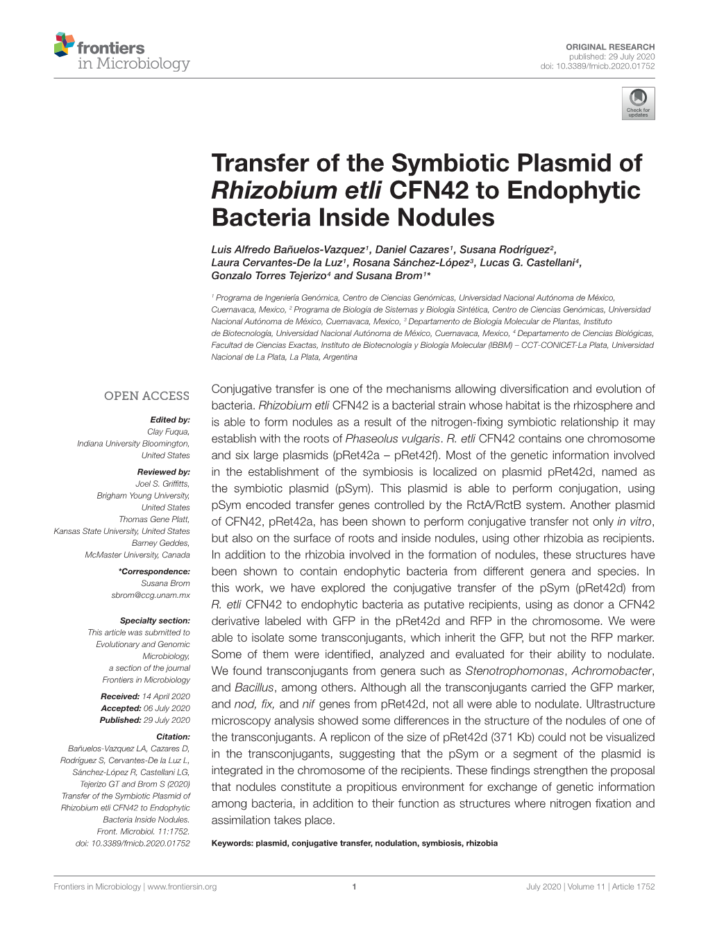 Transfer of the Symbiotic Plasmid of Rhizobium Etli CFN42 to Endophytic Bacteria Inside Nodules