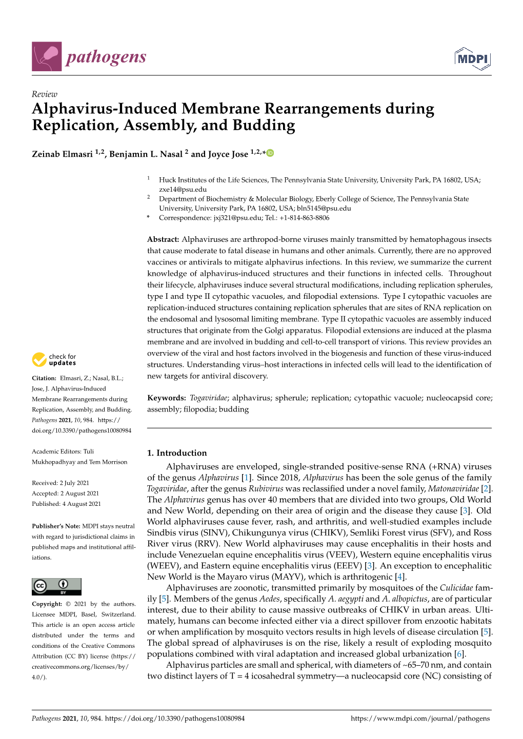 Alphavirus-Induced Membrane Rearrangements During Replication, Assembly, and Budding