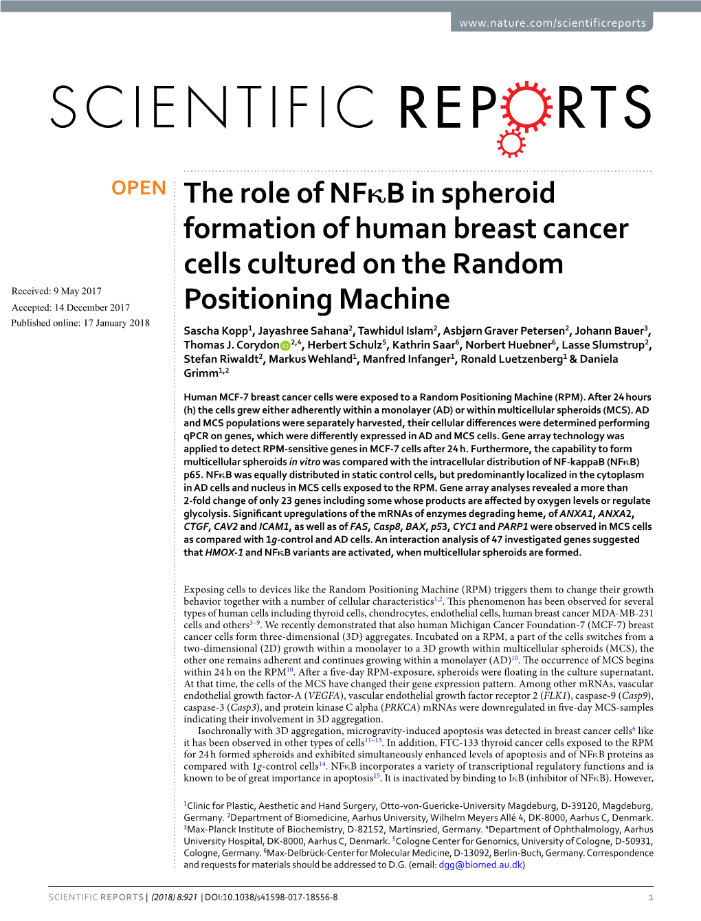 The Role of Nfκb in Spheroid Formation of Human Breast Cancer Cells
