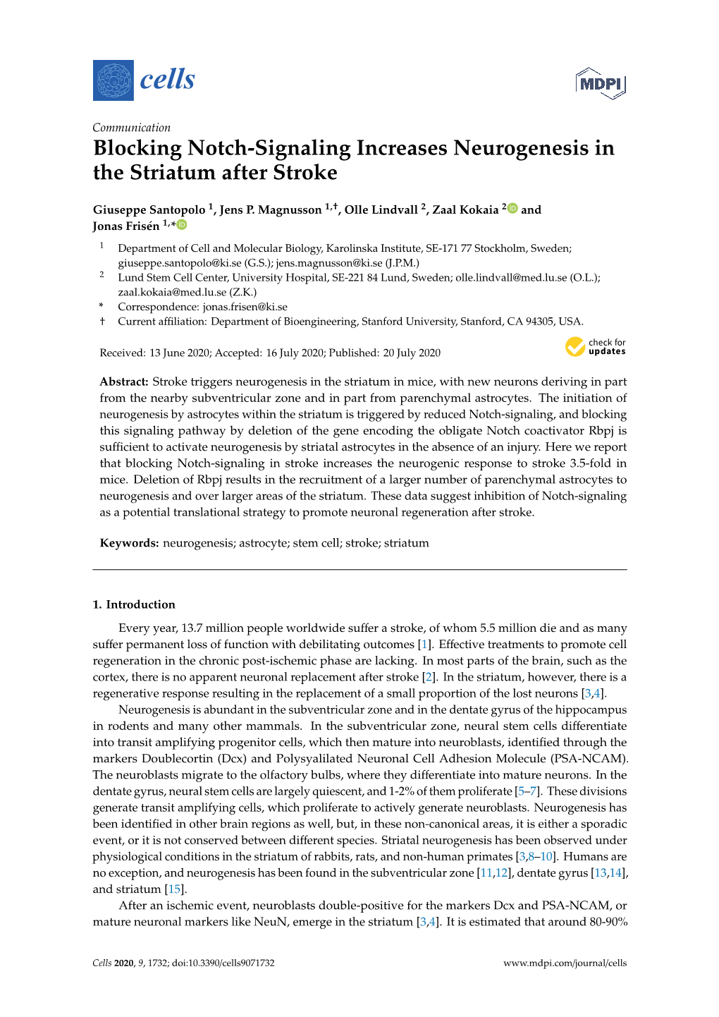 Blocking Notch-Signaling Increases Neurogenesis in the Striatum After Stroke