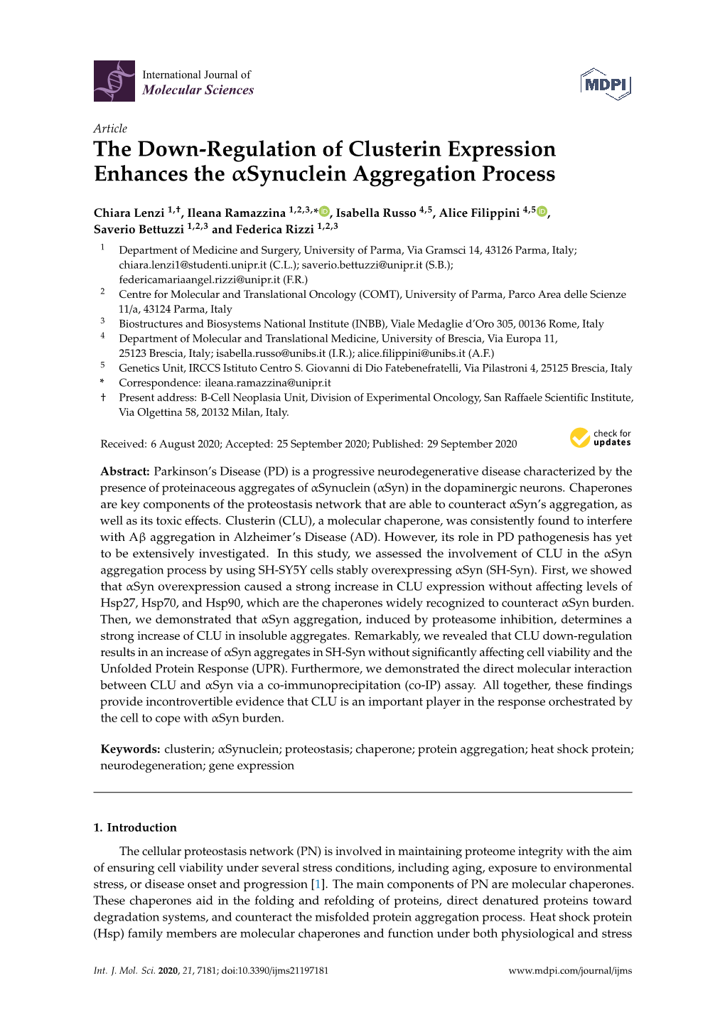 The Down-Regulation of Clusterin Expression Enhances the Synuclein Aggregation Process