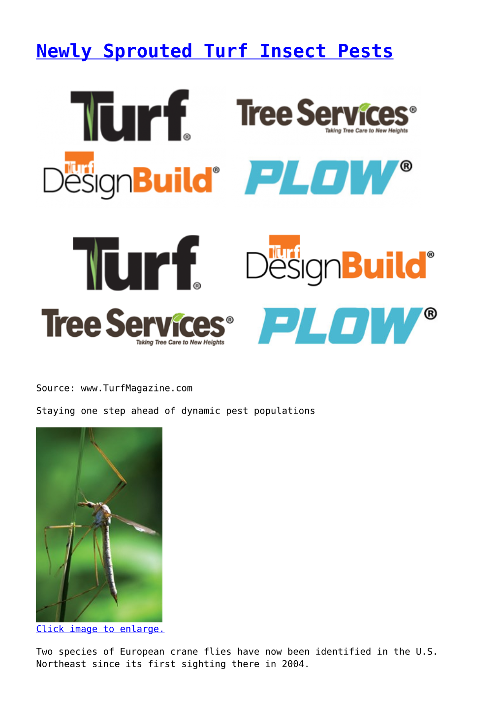 Newly Sprouted Turf Insect Pests