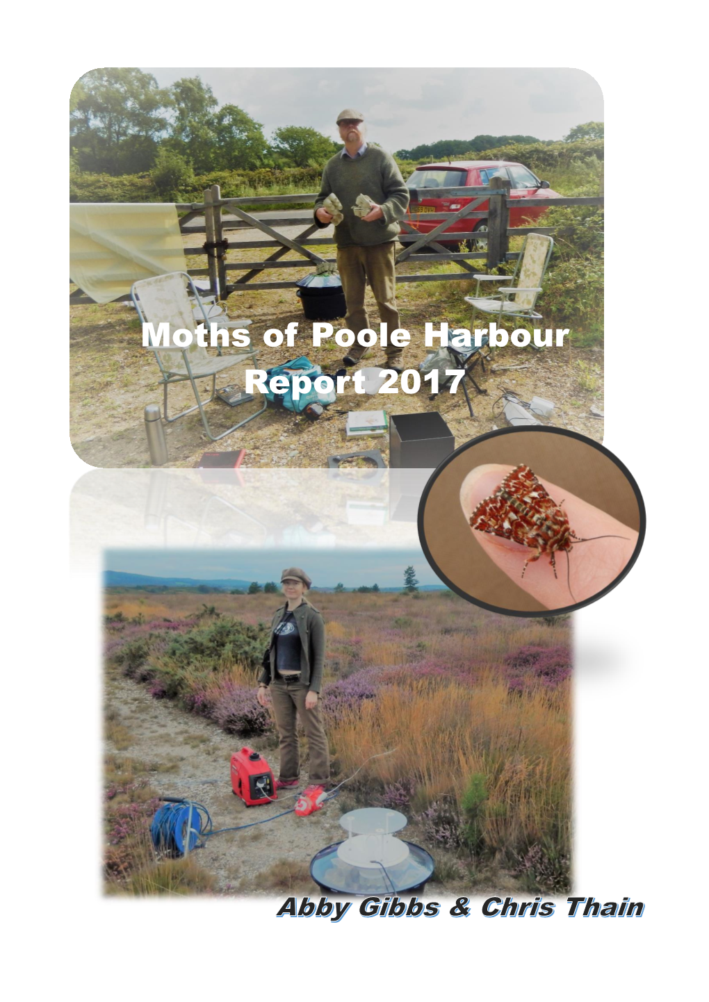Moths of Poole Harbour Report 2017