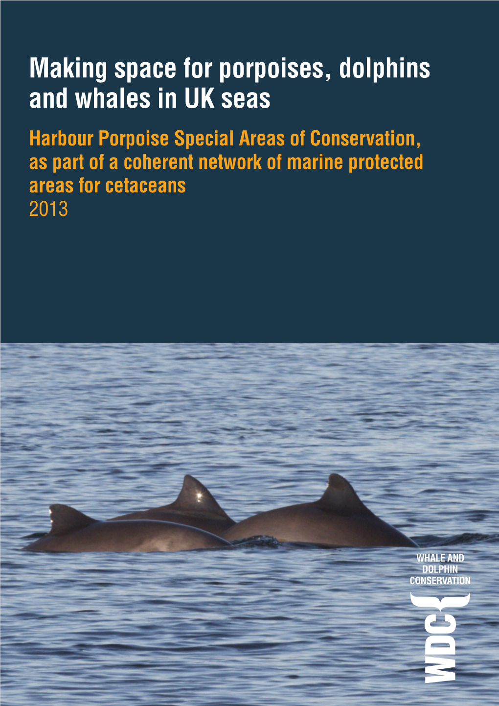 Making Space for Porpoises, Dolphins and Whales in UK Seas