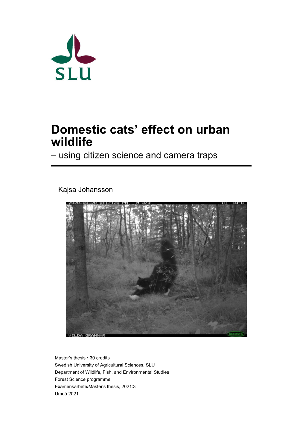 Domestic Cats' Effect on Urban Wildlife