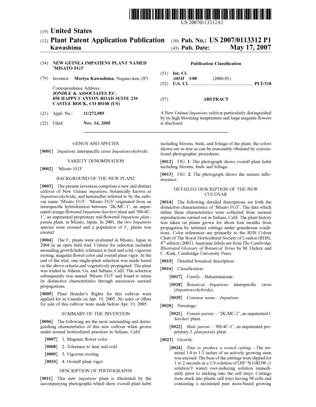 (19) United States (12) Plant Patent Application Publication (10) Pub