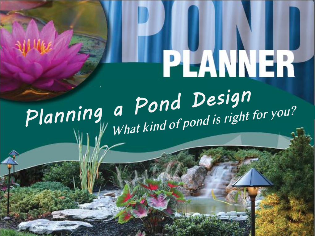 Disadvantages of a Fish Pond • Increased Expense to Install a Deeper Pond and Purchase the Fish and Supplies