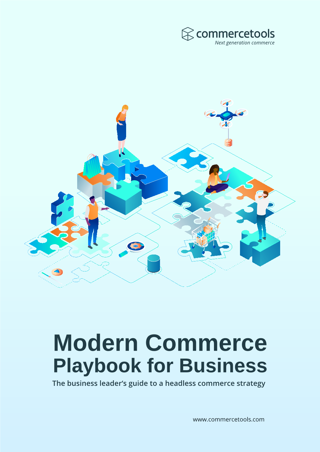 Modern Commerce Playbook for Business the Business Leader‘S Guide to a Headless Commerce Strategy