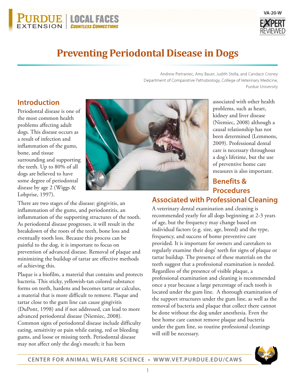 Preventing Periodontal Disease in Dogs