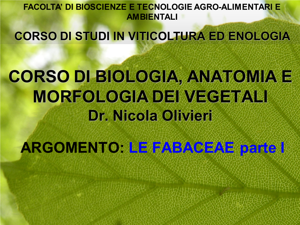 CORSO DI BIOLOGIA, ANATOMIA E MORFOLOGIA DEI VEGETALI Dr